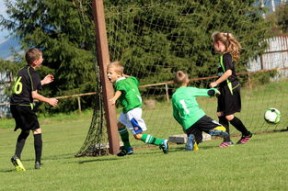 德甲各俱乐部青训投入逐年增长成果初现，德甲青训体系